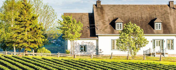 séjour à la ferme